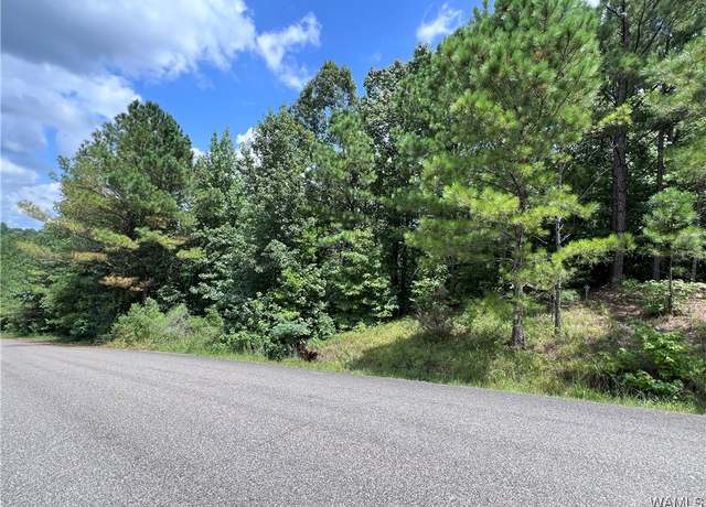 Property at 0 Rosser Rd, Duncanville, AL 35456