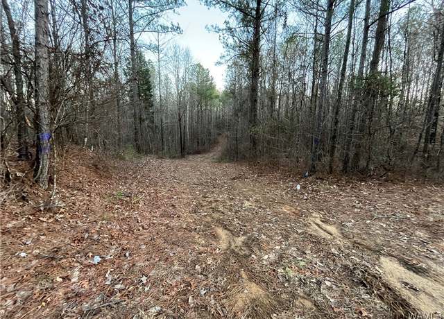 Property at 0 Hwy 86, Carrollton, AL 35447