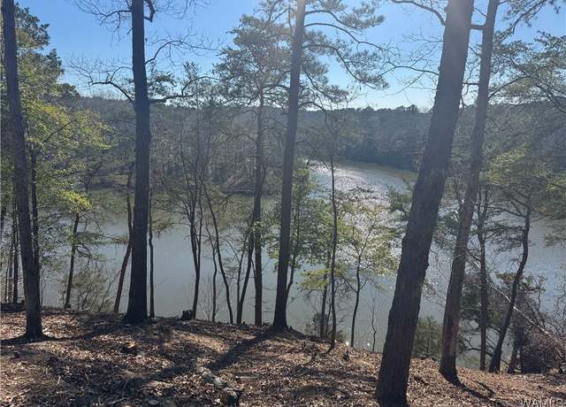 Property at 14201 Cliff Dr, Northport, AL 35475