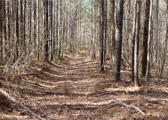 Property at 16717 Graham Rd, Berry, AL 35546
