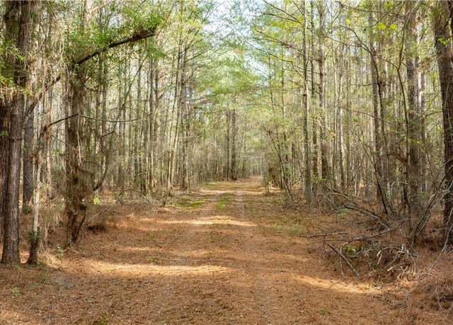 Property at 00 Al-171, Fayette, AL 35555