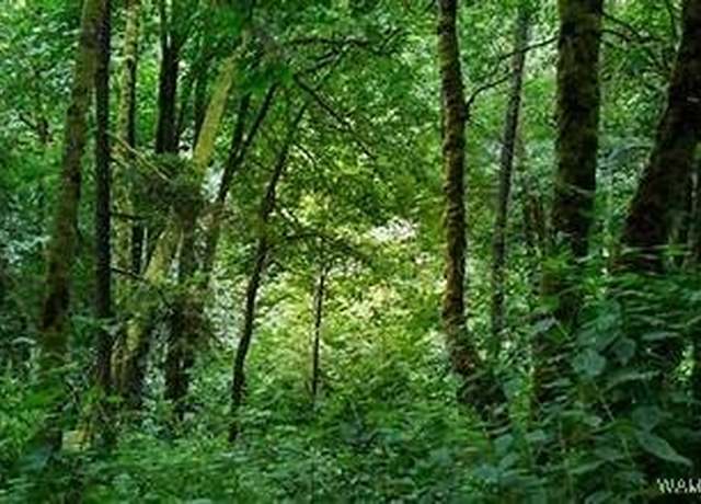 Property at lot 28 26th Ave, Northport, AL 35473