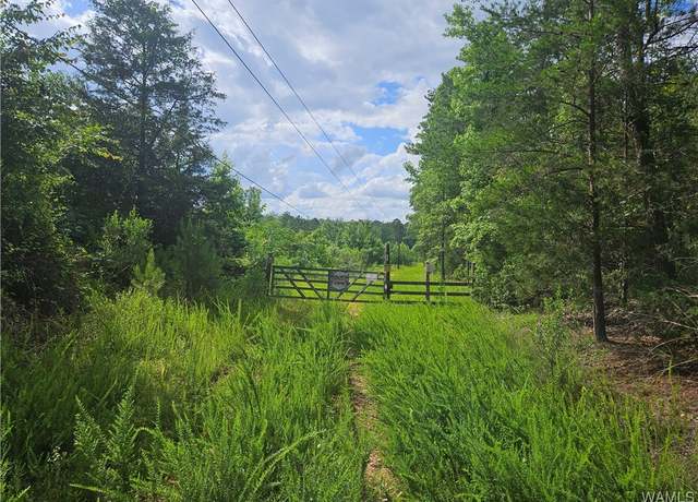 Property at 590 Serty Boyd Rd Rd, West Blocton, AL 35184