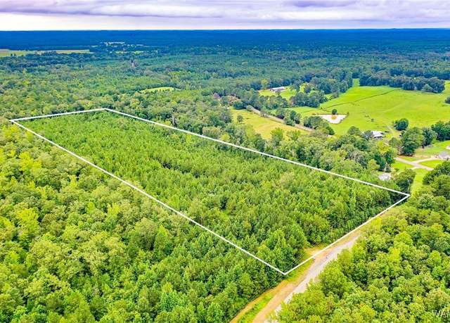 Property at 0 Sipsey Valley Rd S, Ralph, AL 35480
