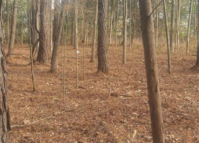 Property at 569 Gore Road Rd, Pickensville, AL 35447