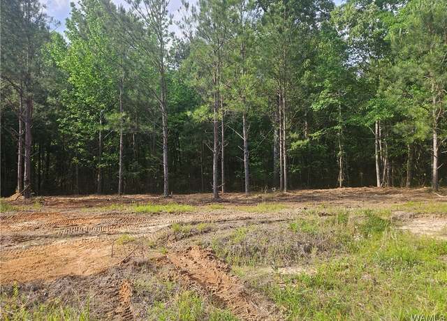 Property at Lot 4 Magnolia Creek Rd, Gordo, AL 35466