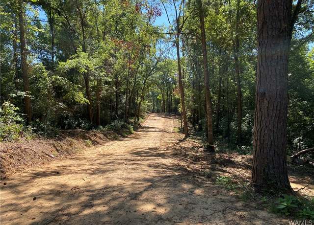 Property at 0 Jones Rd, Northport, AL 35473