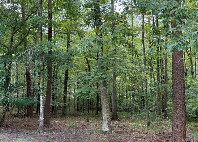 Property at 0 Bridewell Cir, Mccalla, AL 35111