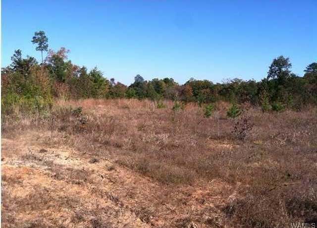 Property at 18448 Thoroughbred Dr, Vance, AL 35490