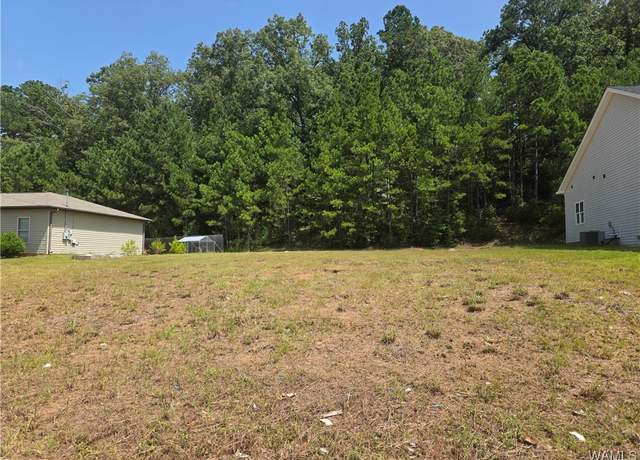 Property at 18448 Thoroughbred Dr, Vance, AL 35490