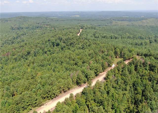Property at 00001 Pleasant Ridge Rd, Fayette, AL 35555