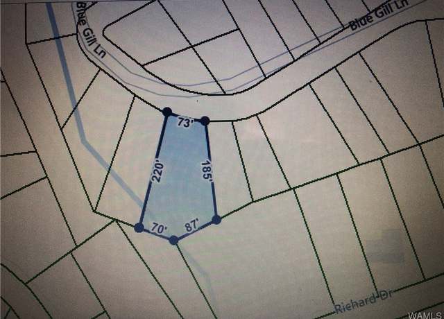Property at 00 Blue Gill Ln, Tuscaloosa, AL 35111