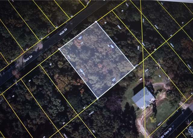 Property at 10 Vicki Dr, Lake View, AL 35111