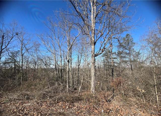 Property at 0 Dream View Ter, Mccalla, AL 35111