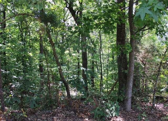 Property at 00 Oak Forest Dr, Mccalla, AL 35111