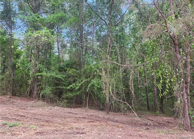 Property at Lot 10 Magnolia Crk, Gordo, AL 35466