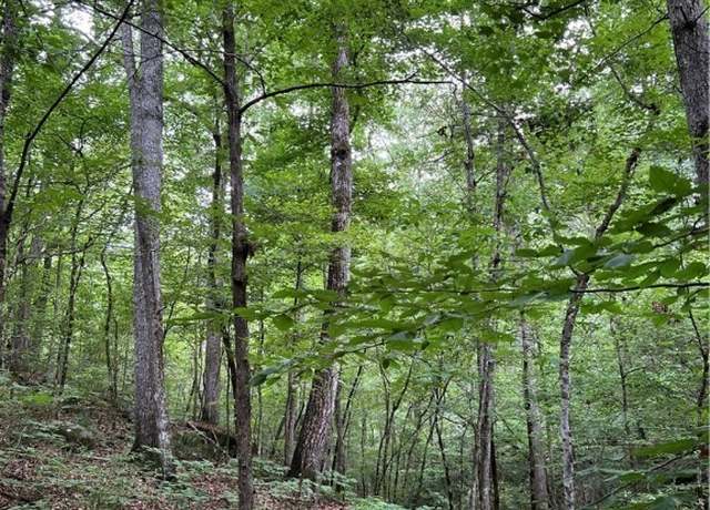 Property at 0 Mountain View Dr, Northport, AL 35475