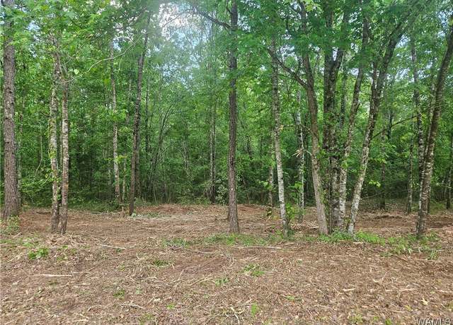 Property at Lot 13 Magnolia Crk, Gordo, AL 35466