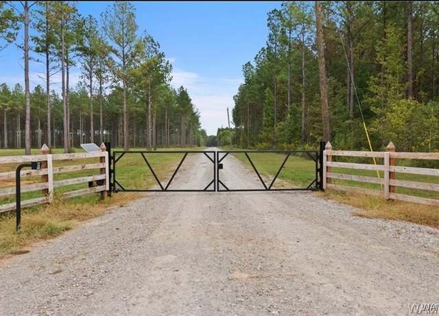 Property at Lot 12 County RD 21, Moundville, AL 35474