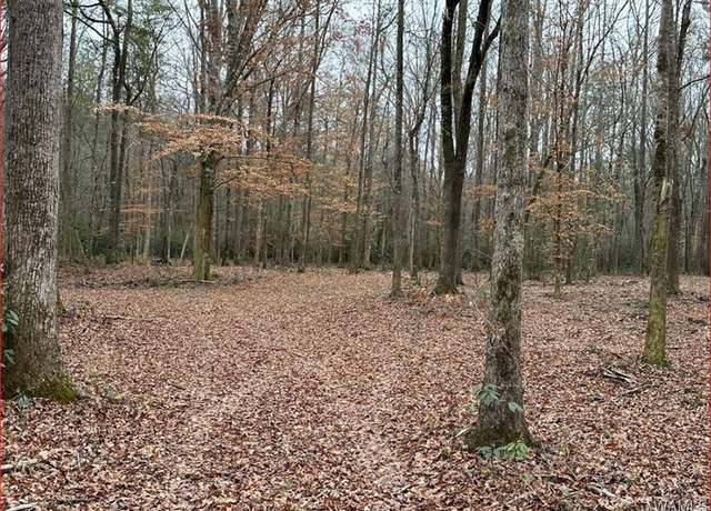 Property at 16284 Beams Rd, Northport, AL 35475