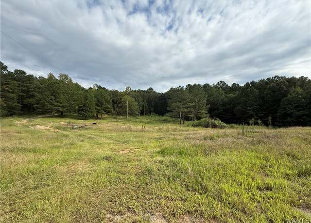 Property at 11316 Hobby Horse Rd, Vance, AL 35490