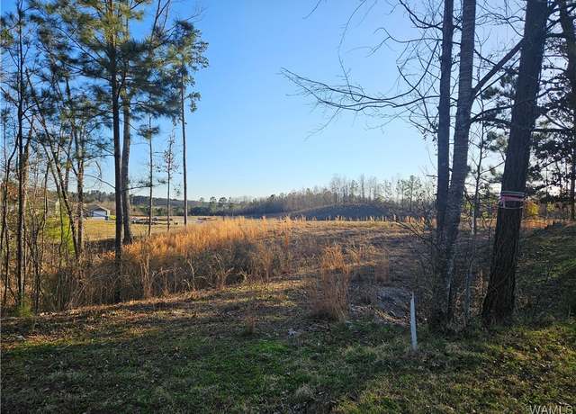 Property at 0 Tuliptree Ln, Northport, AL 35473