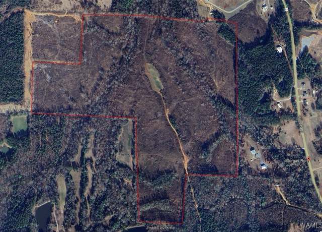 Property at 0 Gorgas Rd, Berry, AL 35546