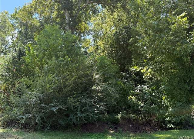 Property at 000 Hood St, Tuscaloosa, AL 35404