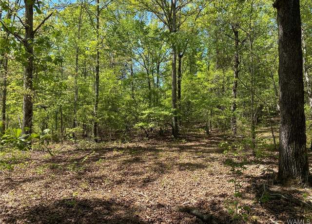 Property at 0 Vic Green Rd, Northport, AL 35475