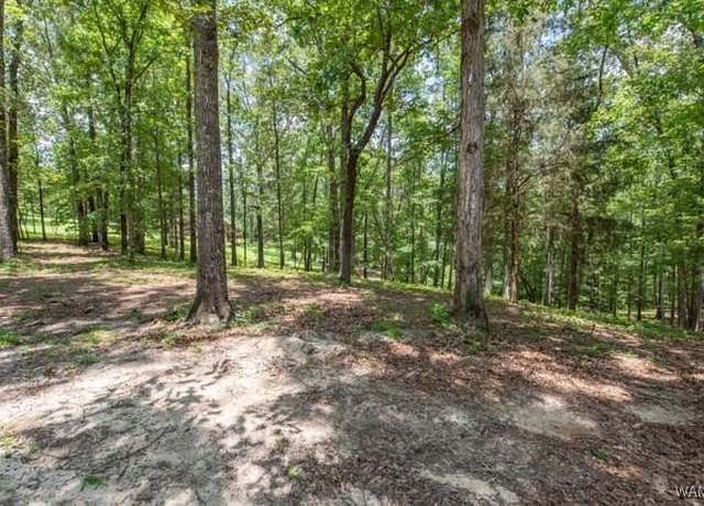 Property at 0 Frank Lary Rd, Northport, AL 35475