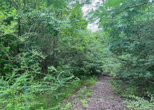Property at 0 Rock Castle Ln, Vance, AL 35490