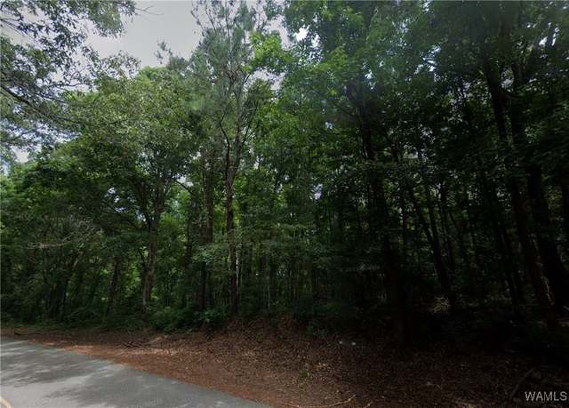 Property at 0 Baptist Campground Rd, Northport, AL 35473
