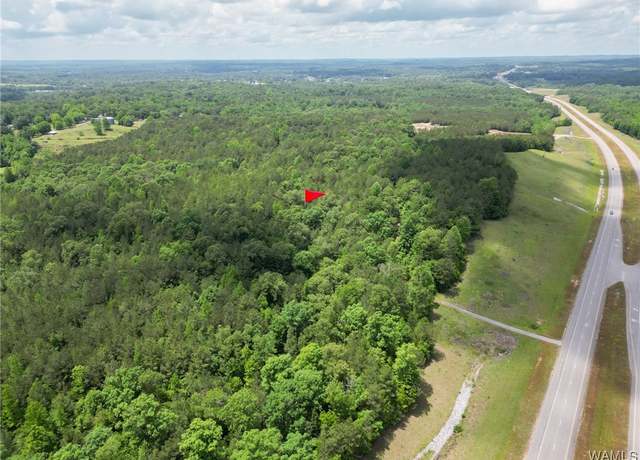 Property at 0 Highway 82, Centreville, AL 35042