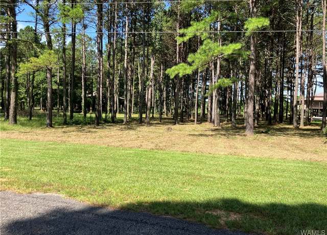 Property at Lot 21 Cypress Point Dr, Akron, AL 35441