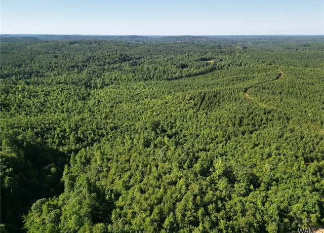 Property at 00 Nubbin Ridge Ln, Carbon Hill, AL 35549