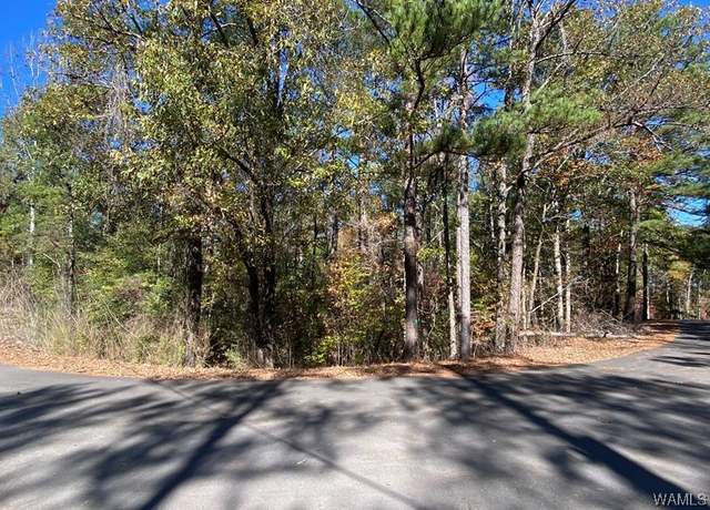 Property at 0 N Shore Dr, Vance, AL 35490