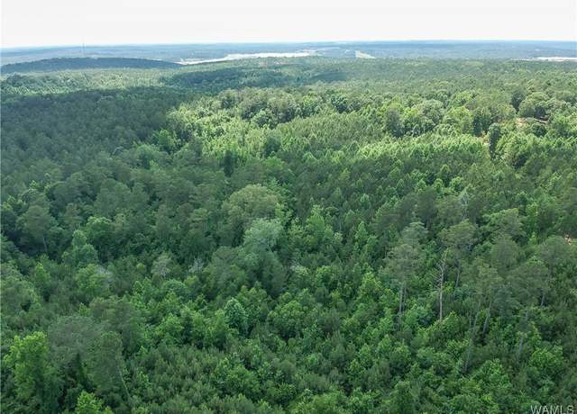 Property at 0 Hopewell Rd, Vance, AL 35490