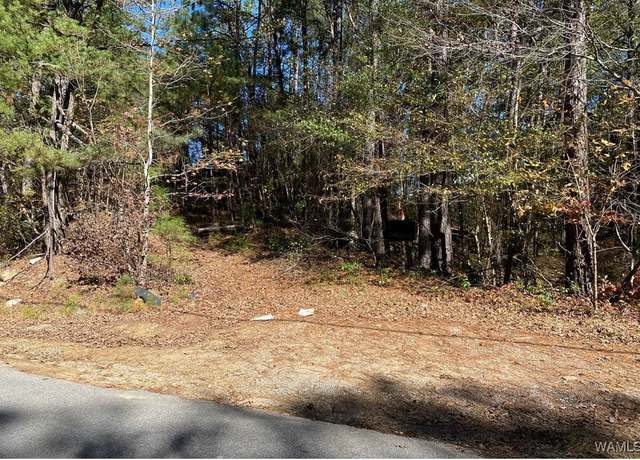 Property at 0 Parsons Dr, Vance, AL 35490