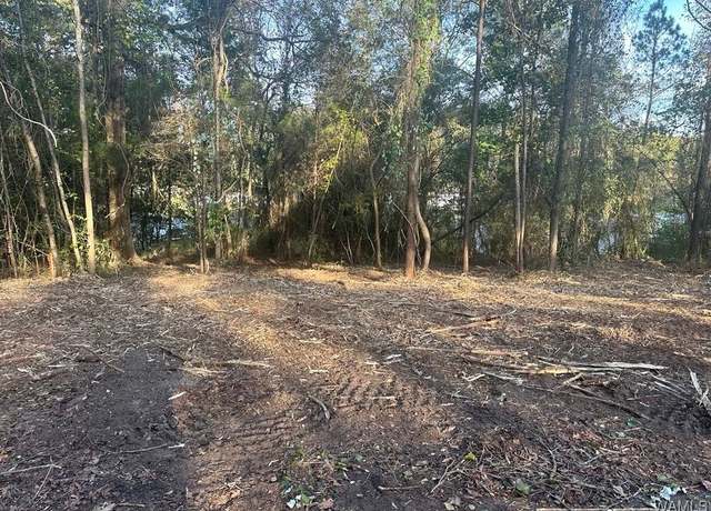 Property at Lot 63 Blue Pine Cir, Brookwood, AL 35444