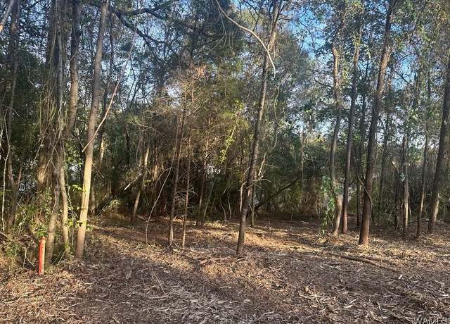 Property at Lot 64 Blue Pine Cir, Brookwood, AL 35444