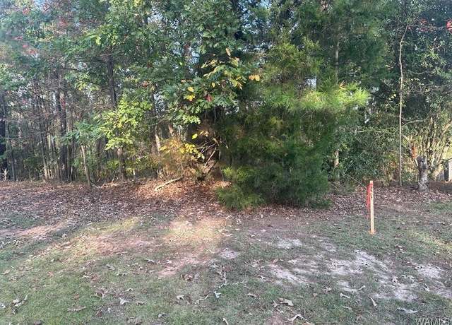 Property at Lot 65 Blue Pine Cir, Brookwood, AL 35444