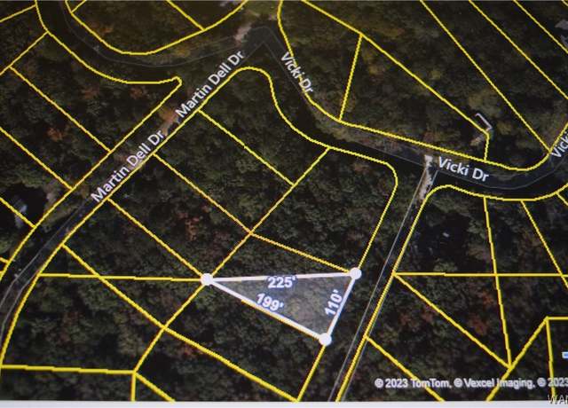 Property at 20 Castle Creek Dr, Lake View, AL 35111