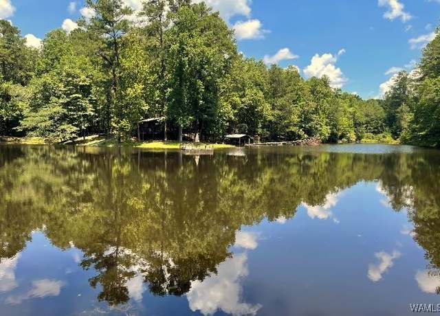 Property at 17796 Dry Branch Loop, Northport, AL 35475
