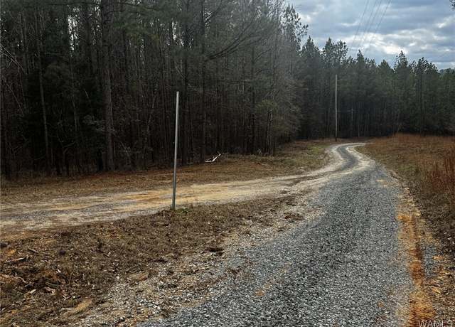 Property at 12608 Tubbs Fisher Rd, Cottondale, AL 35453