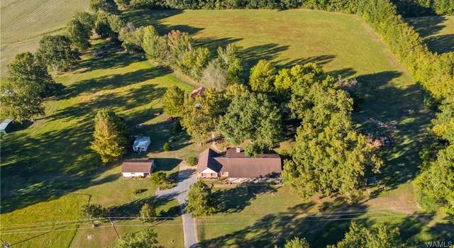 Photo of 424 County Road 46, Moundville, AL 35474