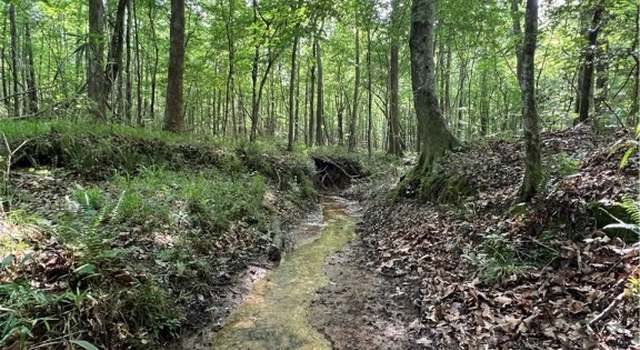 Photo of 0 County Road 183, Marion, AL 36756