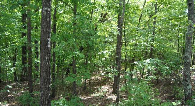 Photo of 00 County Lake Rd, AL 35586