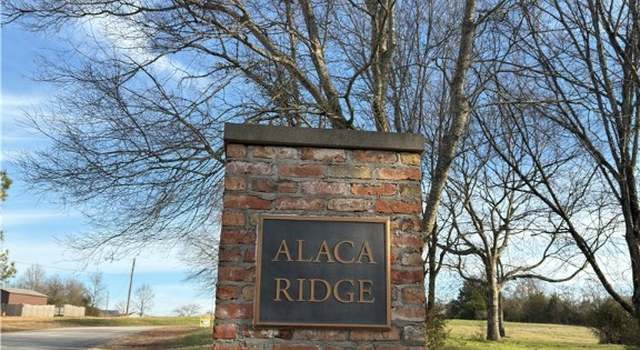 Photo of 6 Alaca Ridge Dr, Moundville, AL 35474