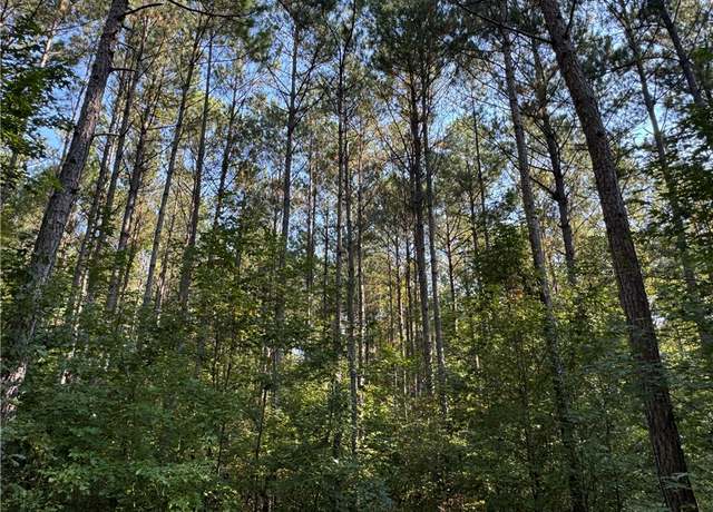 Property at 0 Walker, Jacksons Gap, AL 36861