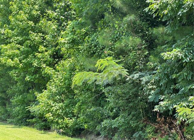 Property at NA Pleasant Springs Dr, Tuskegee, AL 36083